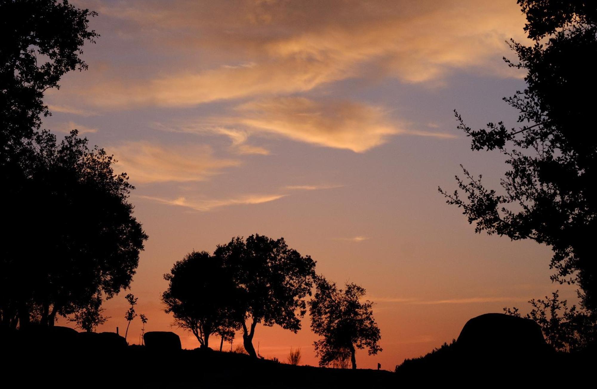 Montimerso Skyscape Countryhouse Monsaraz Eksteriør bilde